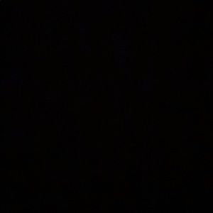 Meet your Posher, Skye